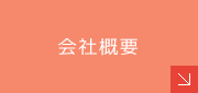 ЊTv